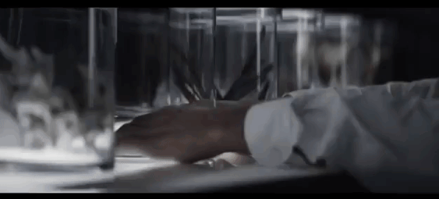 7w6m.gif