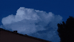 https://zupimages.net/up/22/35/jfwd.gif