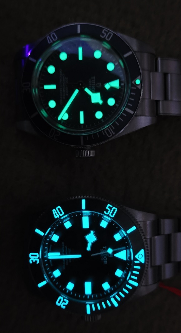 Tudor Pelagos 39 - Page 6 P311