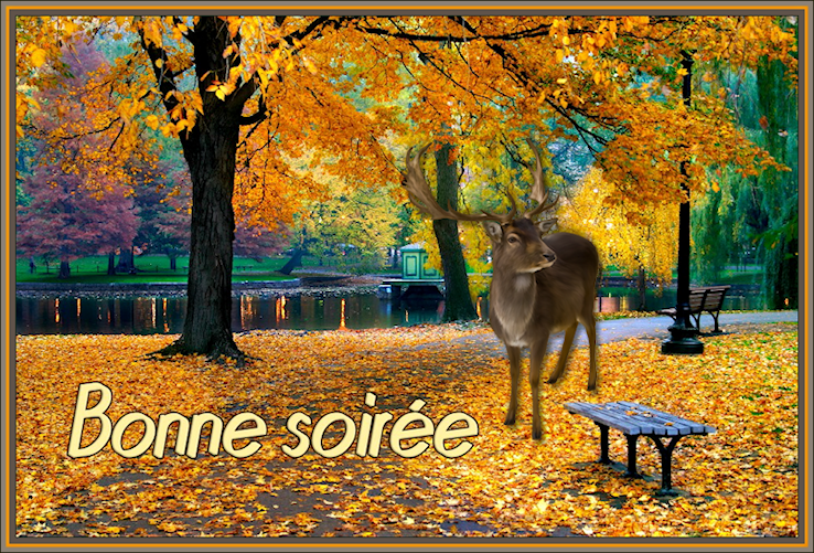 BONJOUR ET BONSOIR D OCTOBRE - Page 3 Dth4