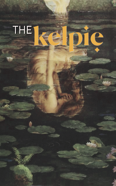 TEST - Meet the Kelpie 1iim