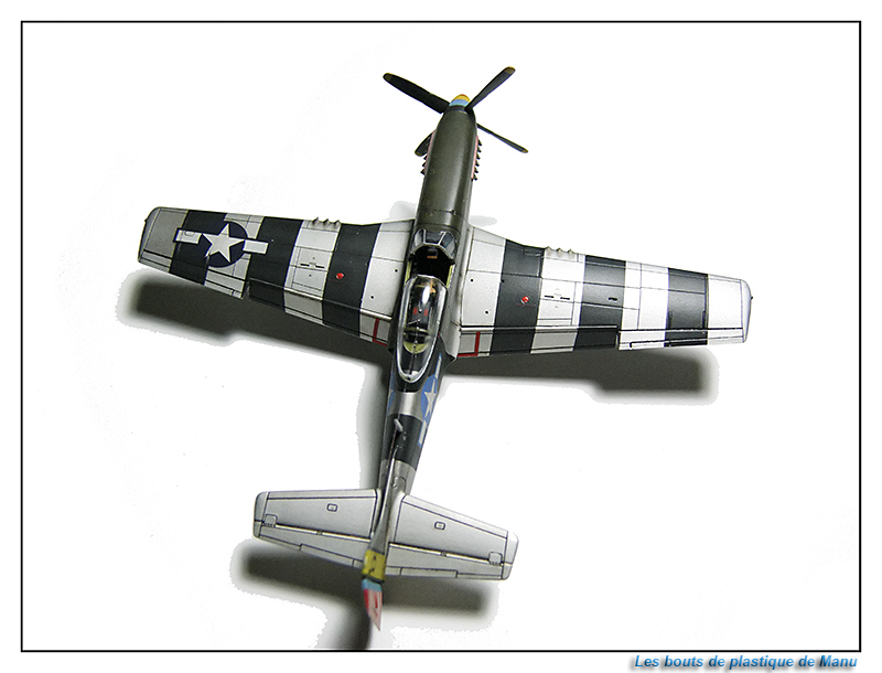 [Airfix] P-51 D Egzp
