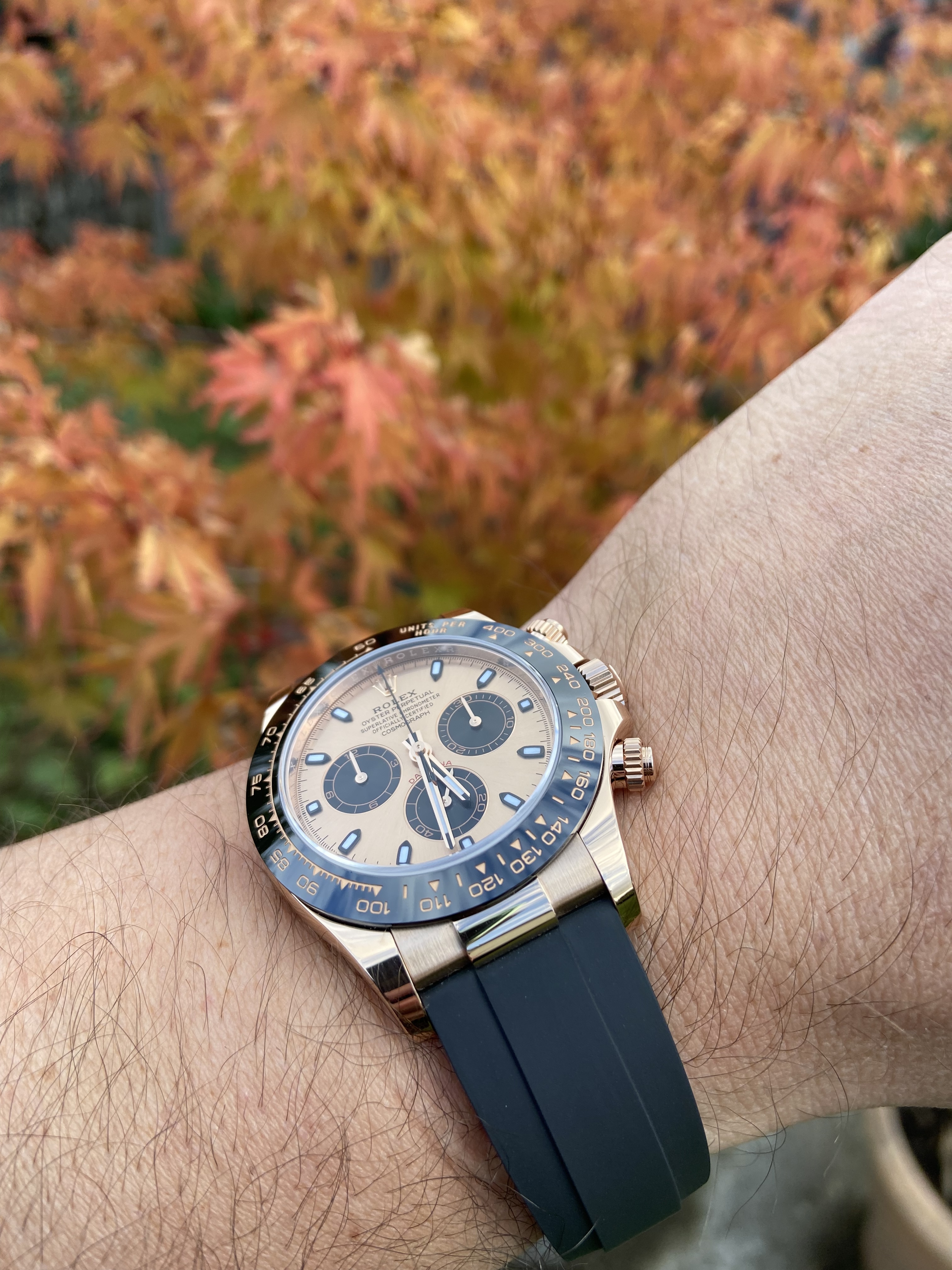 Couleurs d' Automne.... - Page 12 Fq3o