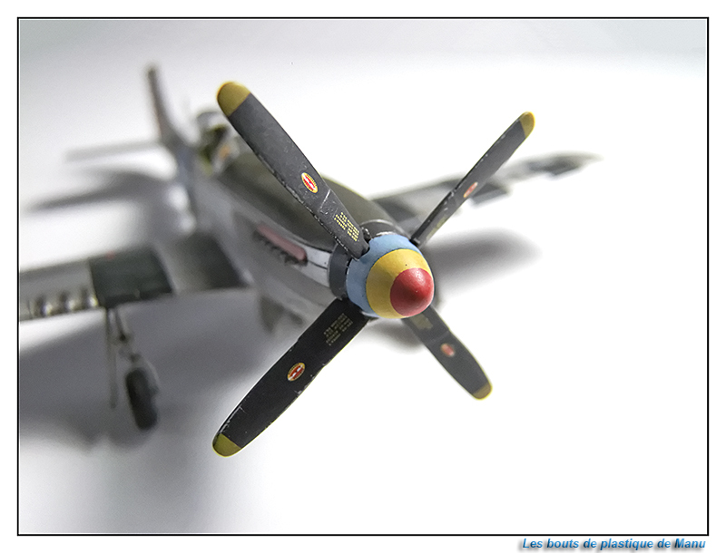 [Airfix] P-51 D Jbdx