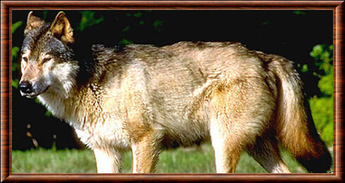 https://zupimages.net/up/22/41/7051.jpg