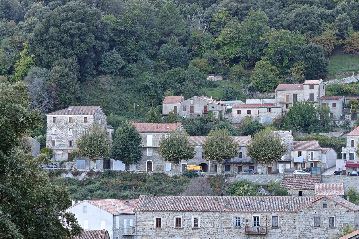 Le TOUR de CORSE Historique  2022. - Page 5 Tfbn