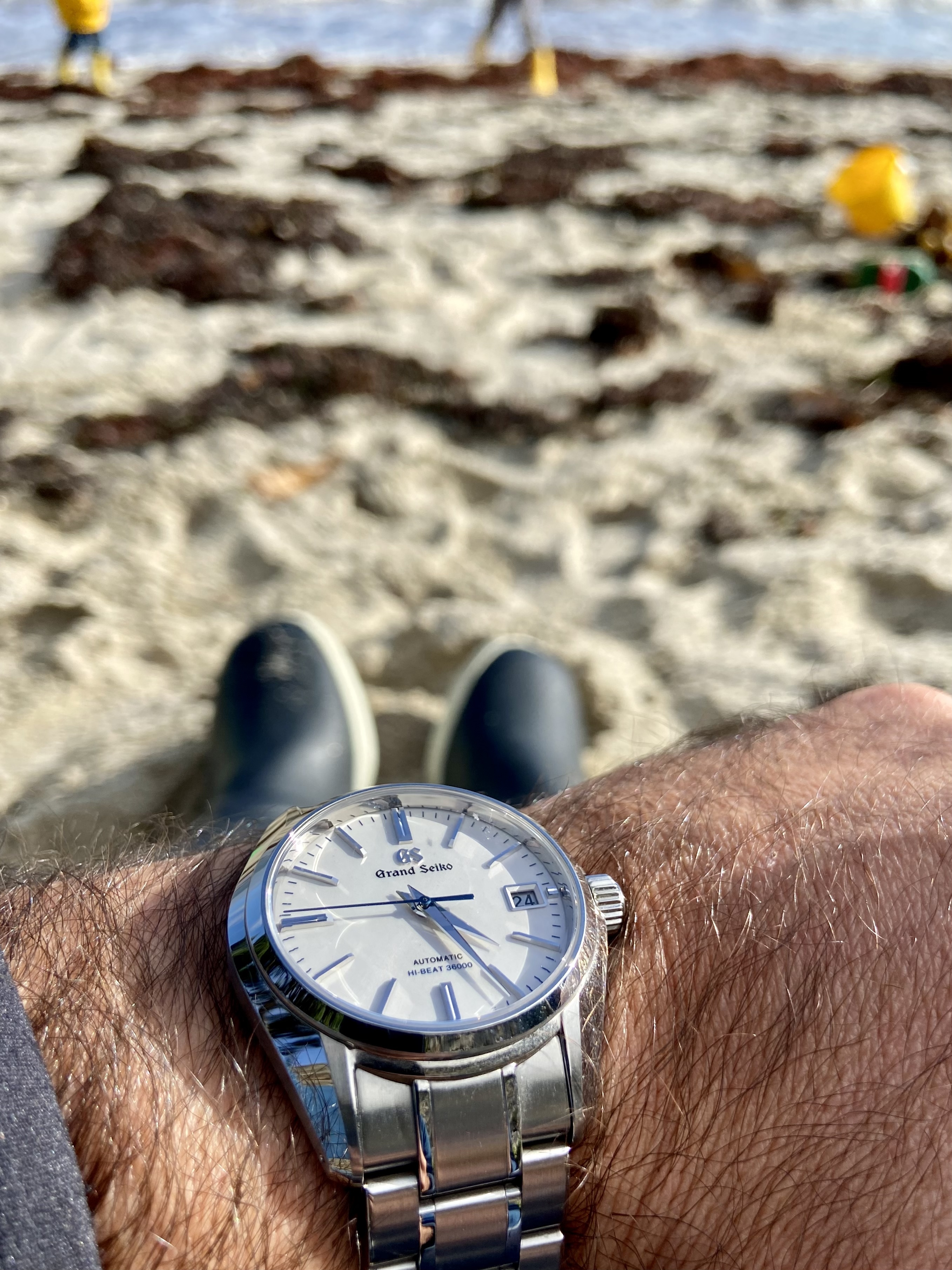 Le club des heureux propriétaires de Grand-Seiko Tome XVII - Page 27 Assn