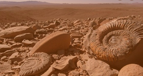 GROSSE ANNONCE DE LA NASA : Découverte sur Mars ???? Plxm