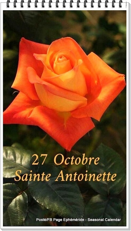 Bonne Fête à ..........