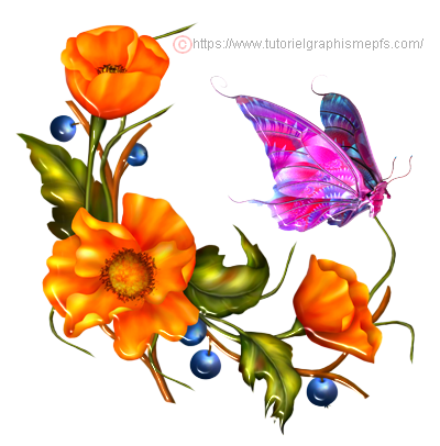Tubes PNG "Les animaux" "Papillons décoré" Effets divers. 0w8t