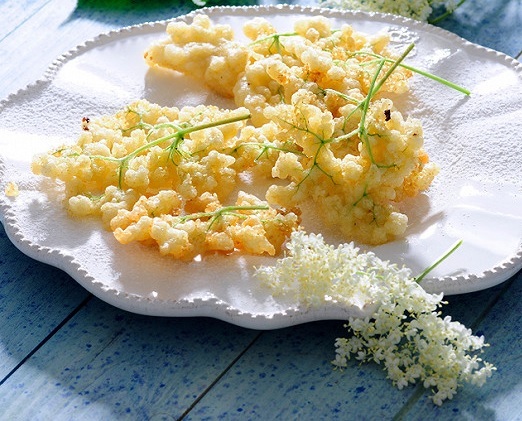 Beignets de fleurs de sureau Ab1u