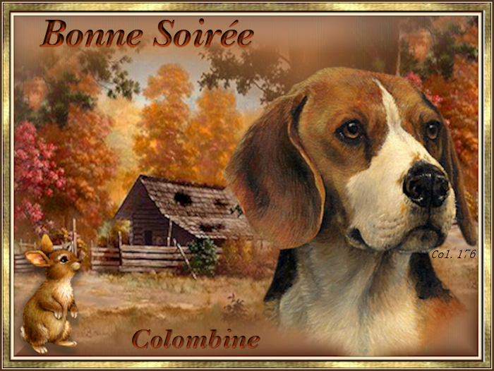 . . . . . . BONJOUR ET BONSOIR DE NOVEMBRE. . . . .  Gi4z