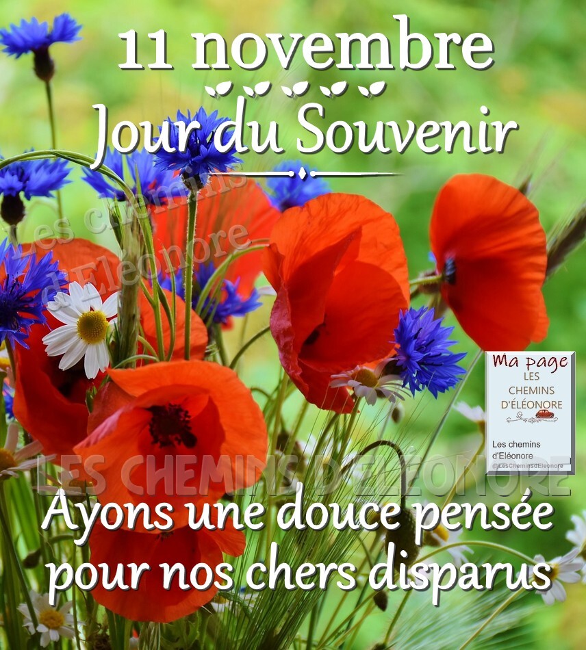 11 novembre armistice 14 18