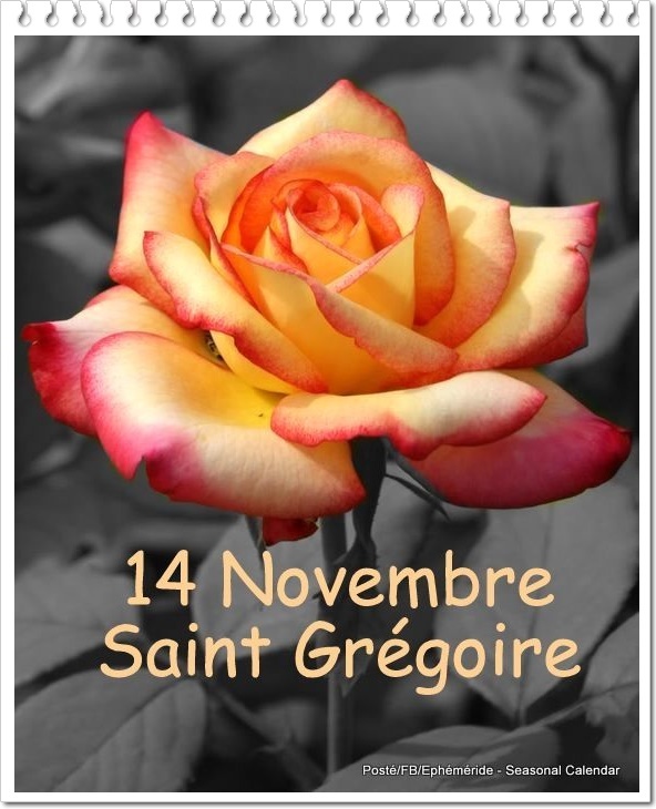 Mamie Josiane - Page 980