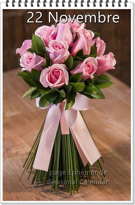 Mamie Josiane - Page 979