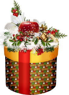 Boîte Cadeau de Noël décoré 63ly