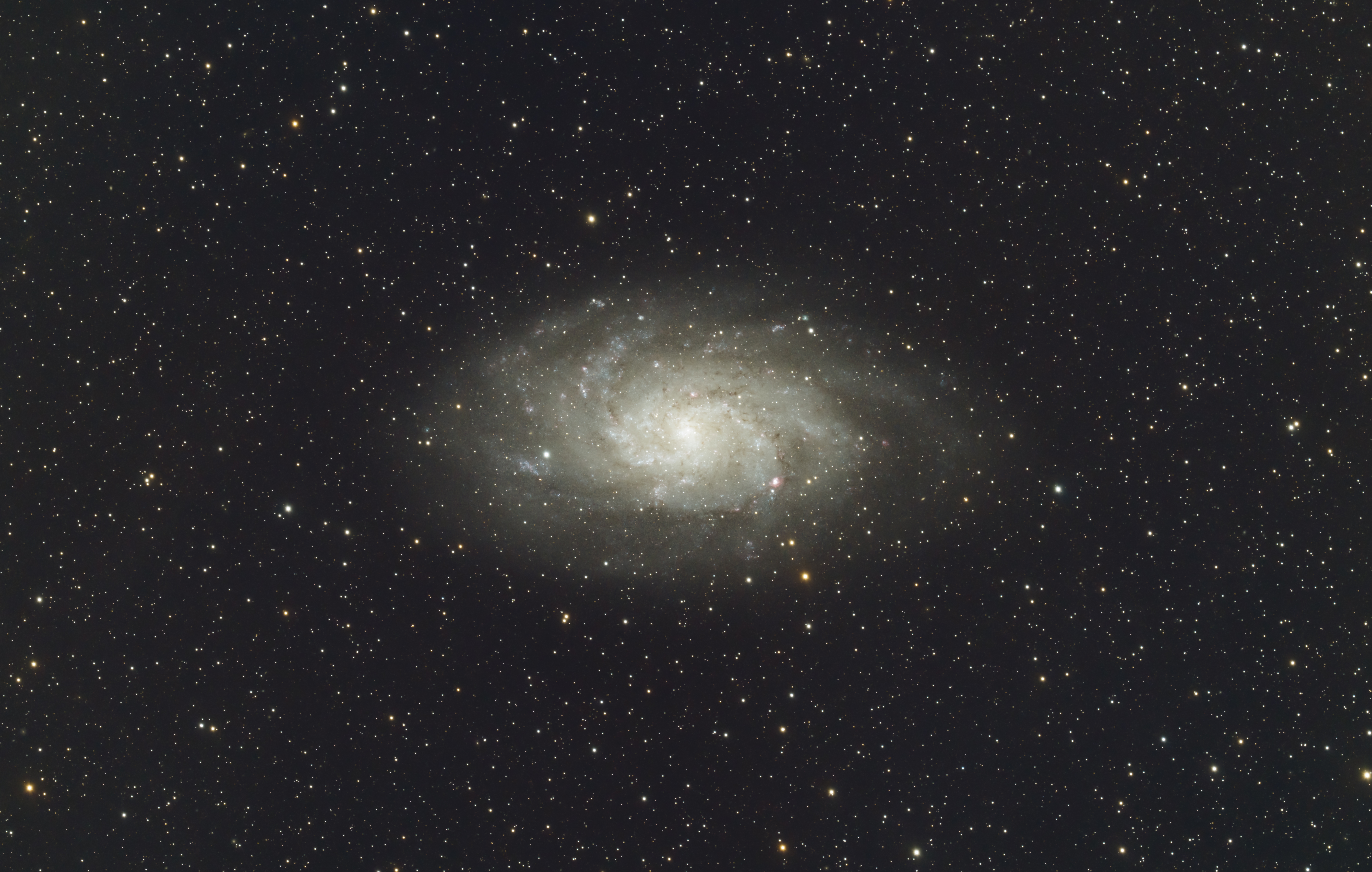 (Galaxie) Galaxie du Triangle (M33) Wto0