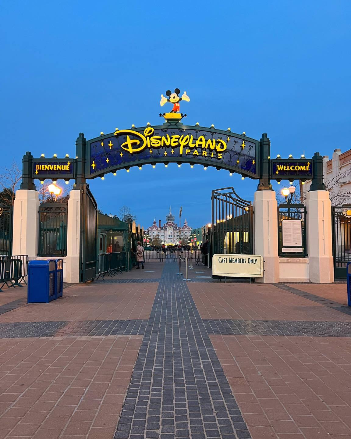 Disneyland Hotel - ré-ouverture le 25 Janvier 2024 - Page 2 Vidm