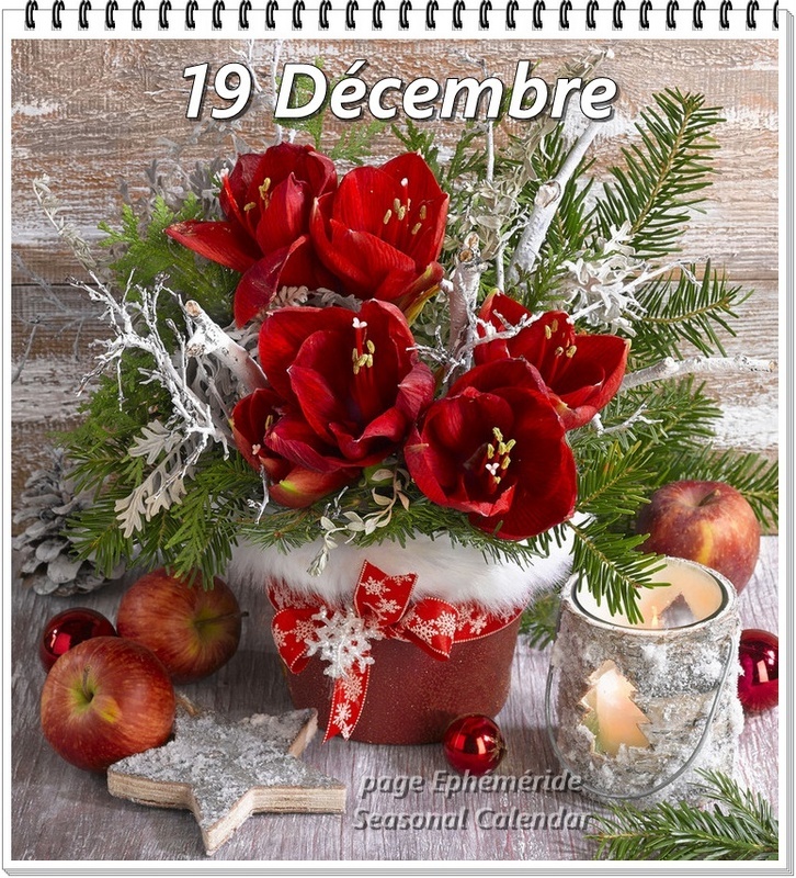 Mamie Josiane - Page 959