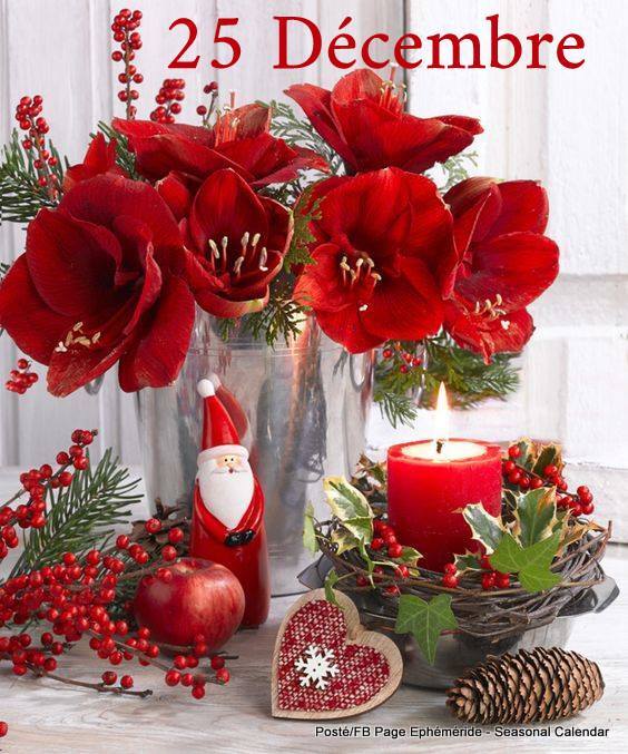 Joyeux Noêl les Ami(e)s.....