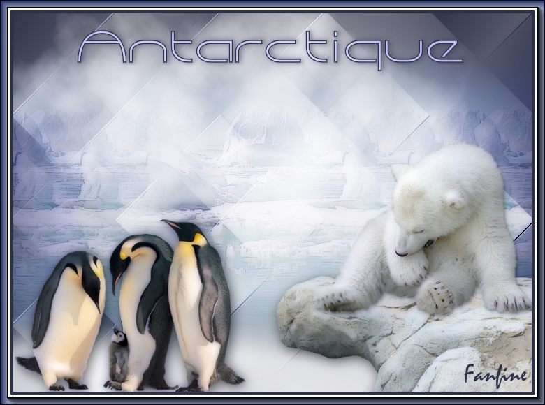 Antarctique - Page 2 9sqp