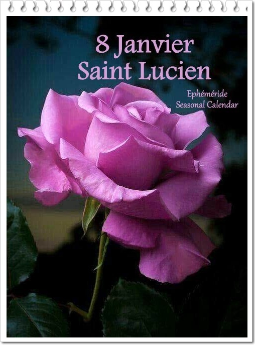 Bonne Fête à .....