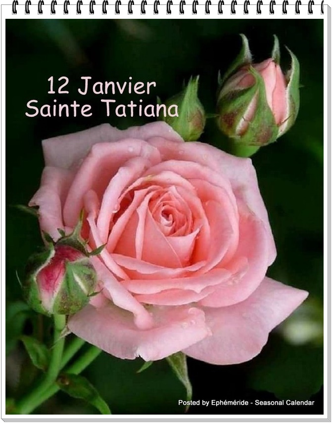 Bonne Fête à .....