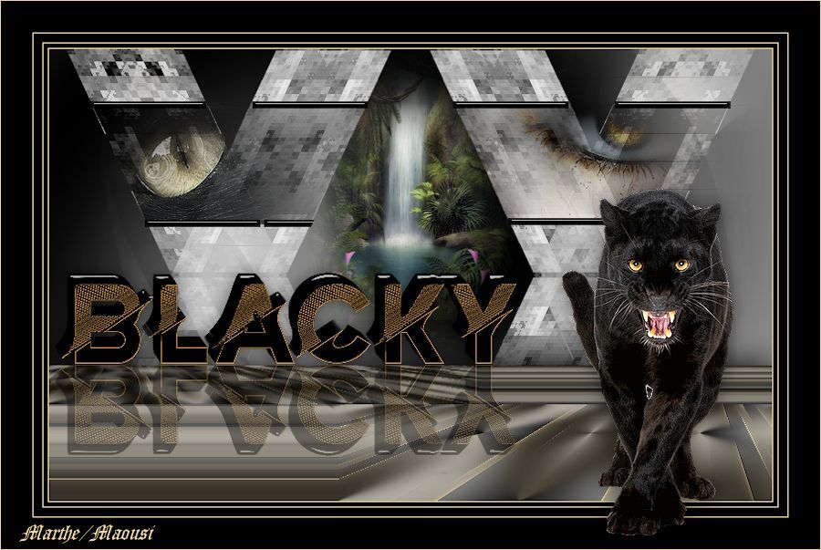 Blacky 35ld