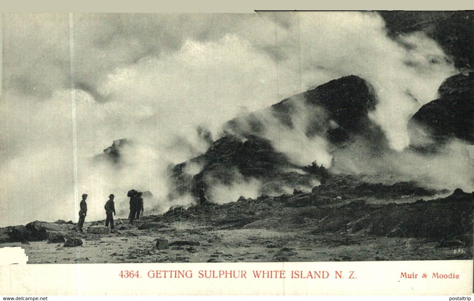 Voyage sulfureux sur l'île blanche- Nouvelle Zélande Lzc7