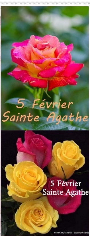 Bonne Fête à .........