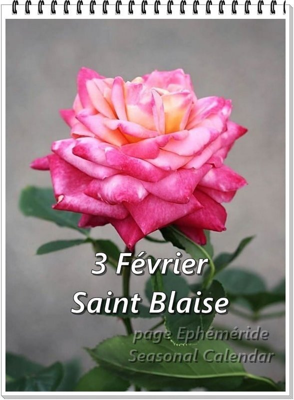 Bonne Fête à .........