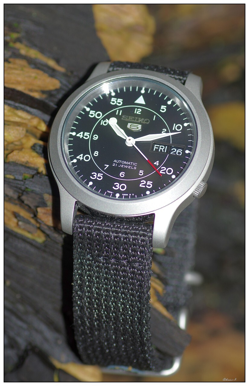 Seiko 5 Club {The Official Subject} - Vol. 11 - Page 12 Q529