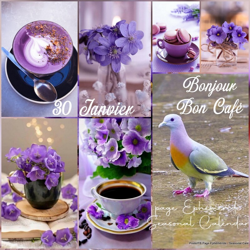 Bon Café du 30 Janvier !!