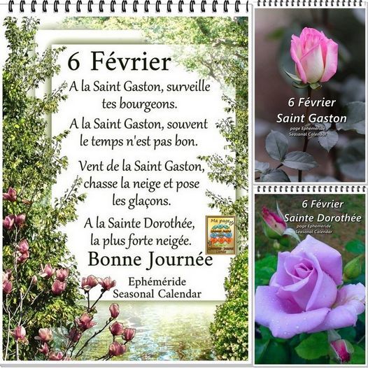 Dictons et Citations du Jour