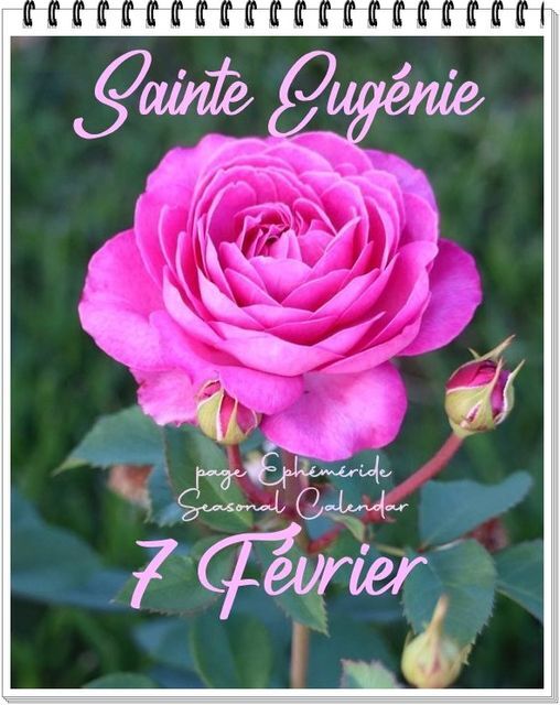 Bonne Fête à ......