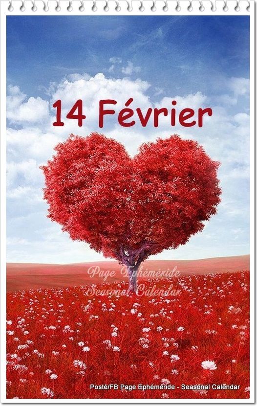 ♥♥ Bonne Saint Valentin....♥♥
