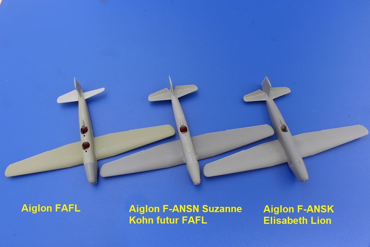 AIGLON - (MONTAGE DUO) SBS resine - 1/72 - CAUDRON AIGLON (Escadrille des Avions de Liaison FAFL/ALSACE) Duo avec Regis BIAUX - Page 3 Qnle