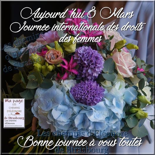Journée de la Femme : 8 Mars