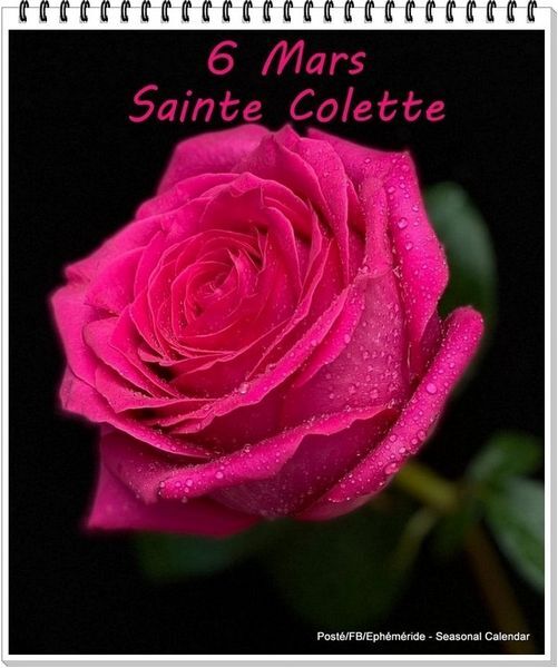 Bonne Fête à .....