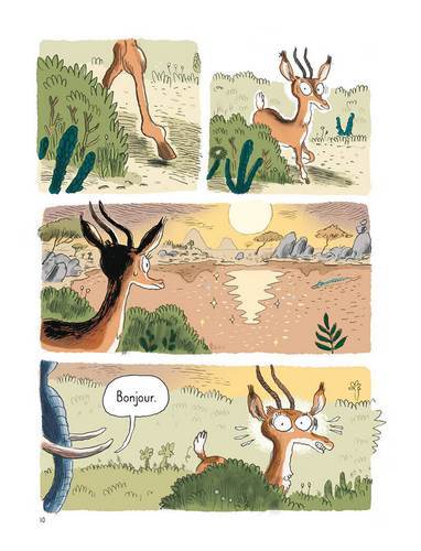 9zoo.jpg