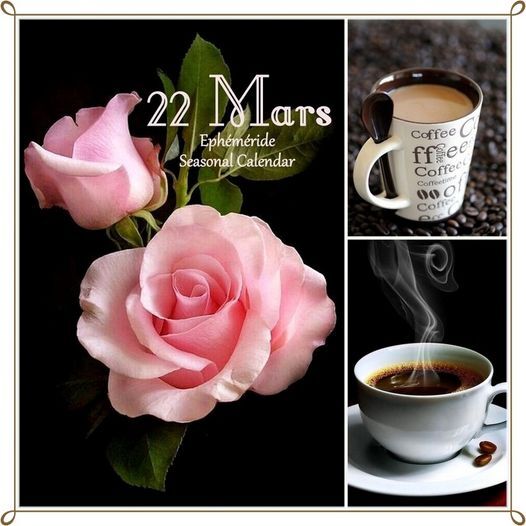 Le Petit Café de l'Amitié