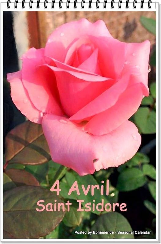 Bonne Fête à .........