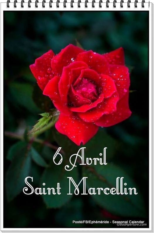 Bonne Fête à .........