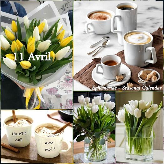 Mamie Josiane - Page 902