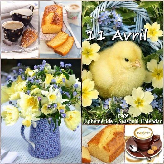 Mamie Josiane - Page 902