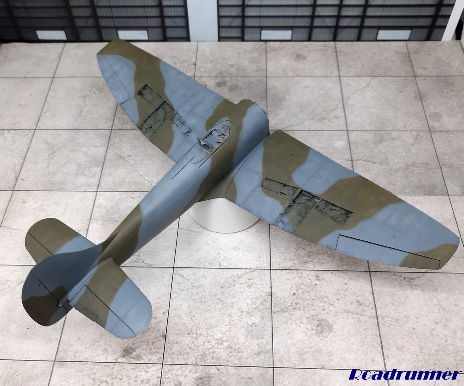 [Eduard] 1/48 - Hawker Tempest Mk V  C8z8