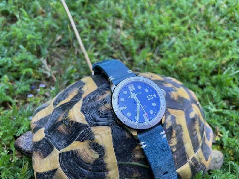 Spinnaker Watches - Page 8 Tq1q