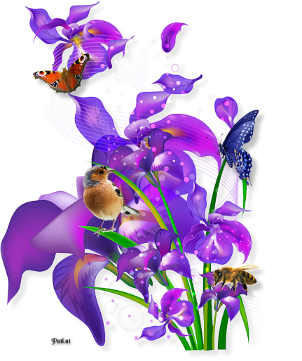Tubes PNG" Composition de fleurs, oiseaux ,papillon, abeille" 02it