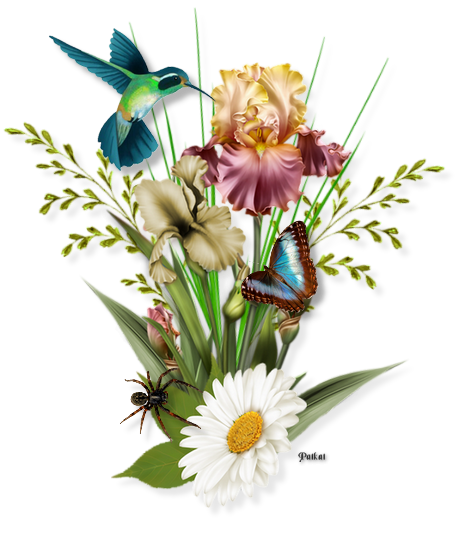 Tubes PNG" Composition de fleurs, oiseaux ,papillon, abeille" 14vg