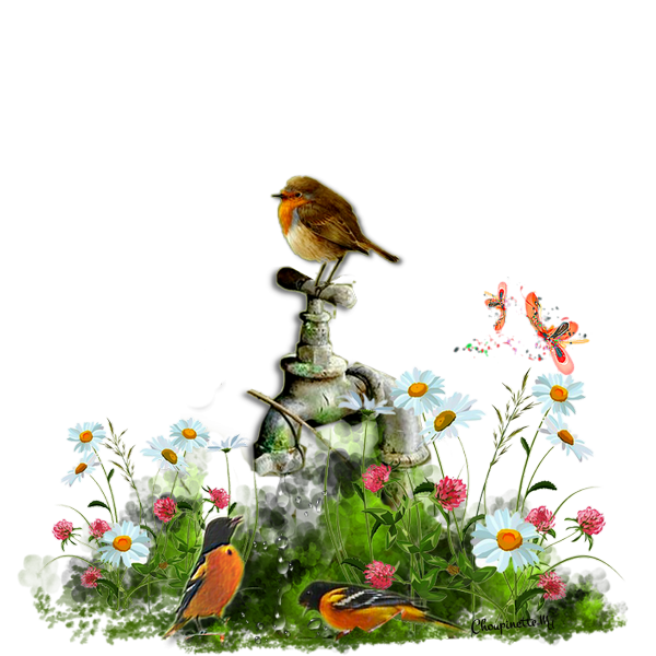 Tubes PNG" Composition de fleurs, oiseaux ,papillon, abeille" 6sto